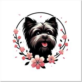 Affenpinscher Embracing Spring with Cherry Blossoms Posters and Art